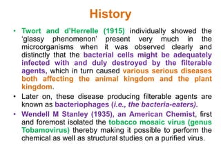 Filterable Virus Virus i | PPTX