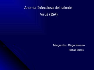 Anemia Infecciosa del salmón  Virus (ISA) Integrantes: Diego Navarro  Matias Osses 