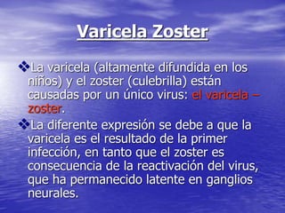 Varicela Zoster
La varicela (altamente difundida en los
niños) y el zoster (culebrilla) están
causadas por un único virus: el varicela –
zoster.
La diferente expresión se debe a que la
varicela es el resultado de la primer
infección, en tanto que el zoster es
consecuencia de la reactivación del virus,
que ha permanecido latente en ganglios
neurales.
 