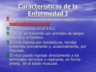 Características de la
Enfermedad I
Es una enfermedad de evolución aguda,
habitualmente mortal.
Genera lesiones en el S.N.C.
El virus se transmite por animales de sangre
caliente y el hombre.
El virus ingresa por mordeduras, heridas
existentes previamente y, ocasionalmente, por
mucosas.
El virus puede ingresar directamente a los
terminales nerviosos o replicarse, en forma
previa, en el tejido muscular.
 
