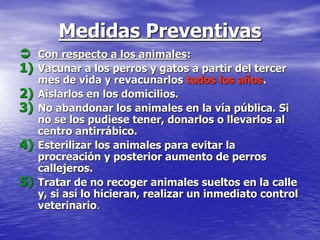 Medidas Preventivas
 Con respecto a los animales:
1) Vacunar a los perros y gatos a partir del tercer
mes de vida y revacunarlos todos los años.
2) Aislarlos en los domicilios.
3) No abandonar los animales en la vía pública. Si
no se los pudiese tener, donarlos o llevarlos al
centro antirrábico.
4) Esterilizar los animales para evitar la
procreación y posterior aumento de perros
callejeros.
5) Tratar de no recoger animales sueltos en la calle
y, si así lo hicieran, realizar un inmediato control
veterinario.
 