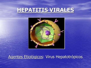 HEPATITIS VIRALES
Agentes Etiológicos: Virus Hepatotrópicos
 