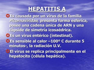 HEPATITIS A
Es causada por un virus de la familia
Picornaviridae, presenta forma esférica,
posee una cadena única de ARN y una
cápside de simetría icosaédrica.
Es un virus entérico (intestinal).
Es sensible al calor –100º C durante 5
minutos-, la radiación U.V.
El virus se replica principalmente en el
hepatocito (célula hepática).
 