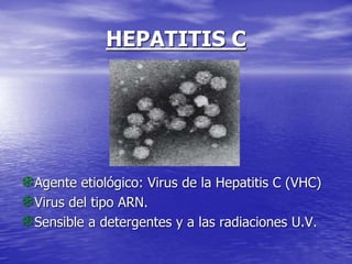 HEPATITIS C
Agente etiológico: Virus de la Hepatitis C (VHC)
Virus del tipo ARN.
Sensible a detergentes y a las radiaciones U.V.
 