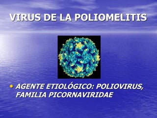 VIRUS DE LA POLIOMELITIS
• AGENTE ETIOLÓGICO: POLIOVIRUS,
FAMILIA PICORNAVIRIDAE
 