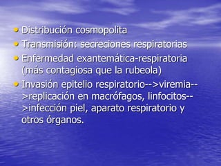 • Distribución cosmopolita
• Transmisión: secreciones respiratorias
• Enfermedad exantemática-respiratoria
(más contagiosa que la rubeola)
• Invasión epitelio respiratorio-->viremia--
>replicación en macrófagos, linfocitos--
>infección piel, aparato respiratorio y
otros órganos.
 