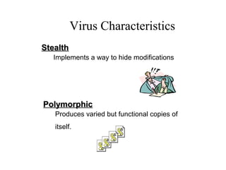 StealthStealth
Implements a way to hide modifications
PolymorphicPolymorphic
Produces varied but functional copies of
itself.
Virus Characteristics
 