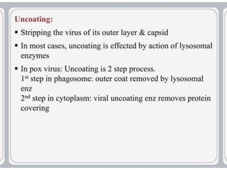 virus-structure and  Its multiplication.pptx