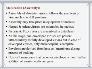virus-structure and  Its multiplication.pptx