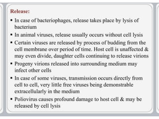 virus-structure and  Its multiplication.pptx
