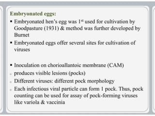 virus-structure and  Its multiplication.pptx