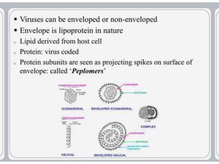 virus-structure and  Its multiplication.pptx