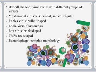 virus-structure and  Its multiplication.pptx