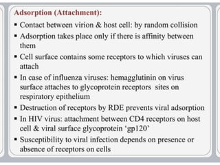 virus-structure and  Its multiplication.pptx