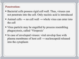 virus-structure and  Its multiplication.pptx
