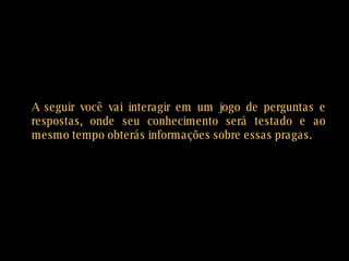 A seguir você vai interagir em um jogo de perguntas e respostas, onde seu conhecimento será testado e ao mesmo tempo obterás informações sobre essas pragas. 