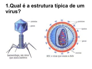 1.Qual é a estrutura típica de um vírus?   