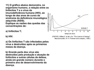 11) O gráfico abaixo demonstra, no organismo humano, a relação entre os linfócitos T e o vírus da imunodeficiência humana (HIV), ao longo de dez anos de curso da síndrome da deficiência imunológica adquirida (AIDS). Explique as razões das quedas das concentrações de: a) linfócitos T; b) HIV. a) Os linfócitos T são infectados pelos vírus e destruídos após os primeiros meses da doença. b) Grande parte dos vírus são destruídos pela produção e atuação de linfócitos e outras células de defesa, ainda em grande número durante o primeiro ano de desenvolvimento da doença. 