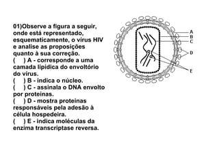 01)Observe a figura a seguir, onde está representado, esquematicamente, o vírus HIV e analise as proposições quanto à sua correção.  (  ) A - corresponde a uma camada lipídica do envoltório do vírus.  (  ) B - indica o núcleo. (  ) C - assinala o DNA envolto por proteínas. (  ) D - mostra proteínas responsáveis pela adesão à célula hospedeira. (  ) E - indica moléculas da enzima transcriptase reversa. 