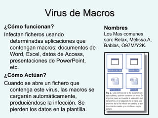 Virus de MacrosVirus de Macros
¿Cómo funcionan?
Infectan ficheros usando
determinadas aplicaciones que
contengan macros: documentos de
Word, Excel, datos de Access,
presentaciones de PowerPoint,
etc.
¿Cómo Actúan?
Cuando se abre un fichero que
contenga este virus, las macros se
cargarán automáticamente,
produciéndose la infección. Se
pierden los datos en la plantilla.
Nombres
Los Mas comunes
son: Relax, Melissa.A,
Bablas, O97M/Y2K.
 