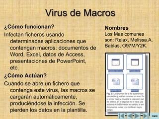 Virus de Macros
¿Cómo funcionan?                        Nombres
Infectan ficheros usando                Los Mas comunes
   determinadas aplicaciones que        son: Relax, Melissa.A,
   contengan macros: documentos de      Bablas, O97M/Y2K.
   Word, Excel, datos de Access,
   presentaciones de PowerPoint,
   etc.
¿Cómo Actúan?
Cuando se abre un fichero que
   contenga este virus, las macros se
   cargarán automáticamente,
   produciéndose la infección. Se
   pierden los datos en la plantilla.
 