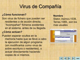 Virus de Compañía
¿Cómo funcionan?                        Nombre
Son virus de fichero que pueden ser     Stator, Asimov.1539,
  residentes o de acción directa.       Terrax.1069., son los
  “Acompañan" ficheros existentes       mas usuales
  en el sistema, antes de su llegada.
¿Cómo actúan?
Pueden esperar ocultos en la
  memoria hasta que se lleve a cabo
  la ejecución de algún programa
  (sin modificarlos como virus de
  sobre escritura o residentes), o
  actuar directamente haciendo
  copias de sí mismos.
 