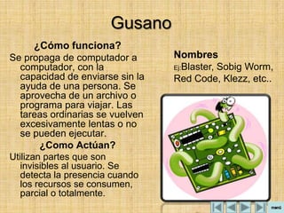 Gusano
     ¿Cómo funciona?
Se propaga de computador a       Nombres
  computador, con la             Ej:Blaster, Sobig Worm,
  capacidad de enviarse sin la   Red Code, Klezz, etc..
  ayuda de una persona. Se
  aprovecha de un archivo o
  programa para viajar. Las
  tareas ordinarias se vuelven
  excesivamente lentas o no
  se pueden ejecutar.
      ¿Como Actúan?
Utilizan partes que son
   invisibles al usuario. Se
   detecta la presencia cuando
   los recursos se consumen,
   parcial o totalmente.
 