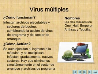 Virus múltiples
¿Cómo funcionan?                    Nombres
Infectan archivos ejecutables y     Los más comunes son:
   sectores de booteo,              One_Half, Emperor,
   combinando la acción de virus    Anthrax y Tequilla.
   de programa y del sector de
   arranque.
¿Cómo Actúan?
Se auto ejecutan al ingresan a la
  máquina, y se multiplican.
  Infectan, gradualmente, nuevos
  sectores. Hay que eliminarlos
  simultáneamente en el sector de
  arranque y archivos de programa
 