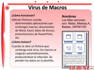 Virus de Macros 
¿Cómo funcionan? 
Infectan ficheros usando 
determinadas aplicaciones que 
contengan macros: documentos 
de Word, Excel, datos de Access, 
presentaciones de PowerPoint, 
etc. 
¿Cómo Actúan? 
Cuando se abre un fichero que 
contenga este virus, las macros se 
cargarán automáticamente, 
produciéndose la infección. Se 
pierden los datos en la plantilla. 
Nombres 
Los Mas comunes 
son: Relax, Melissa.A, 
Bablas, O97M/Y2K. 
 