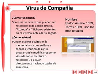 Virus de Compañía 
¿Cómo funcionan? 
Son virus de fichero que pueden ser 
residentes o de acción directa. 
“Acompañan" ficheros existentes 
en el sistema, antes de su llegada. 
¿Cómo actúan? 
Pueden esperar ocultos en la 
memoria hasta que se lleve a 
cabo la ejecución de algún 
programa (sin modificarlos como 
virus de sobre escritura o 
residentes), o actuar 
directamente haciendo copias de 
sí mismos. 
Nombre 
Stator, Asimov.1539, 
Terrax.1069., son los 
mas usuales 
 