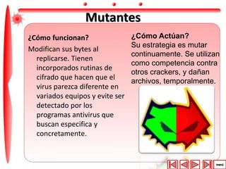 Mutantes 
¿Cómo funcionan? 
Modifican sus bytes al 
replicarse. Tienen 
incorporados rutinas de 
cifrado que hacen que el 
virus parezca diferente en 
variados equipos y evite ser 
detectado por los 
programas antivirus que 
buscan especifica y 
concretamente. 
¿Cómo Actúan? 
Su estrategia es mutar 
continuamente. Se utilizan 
como competencia contra 
otros crackers, y dañan 
archivos, temporalmente. 
 