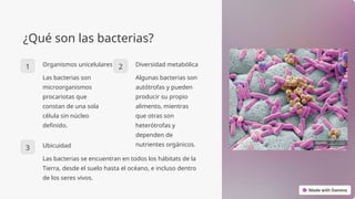 ¿Qué son las bacterias?
1 Organismos unicelulares
Las bacterias son
microorganismos
procariotas que
constan de una sola
célula sin núcleo
definido.
2 Diversidad metabólica
Algunas bacterias son
autótrofas y pueden
producir su propio
alimento, mientras
que otras son
heterótrofas y
dependen de
nutrientes orgánicos.
3 Ubicuidad
Las bacterias se encuentran en todos los hábitats de la
Tierra, desde el suelo hasta el océano, e incluso dentro
de los seres vivos.
 
