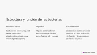 Estructura y función de las bacterias
Estructura celular
Las bacterias tienen una pared
celular, membrana
citoplasmática, citoplasma y
material genético (ADN).
Organelas
Algunas bacterias tienen
estructuras especializadas
como flagelos, pili y esporas.
Funciones vitales
Las bacterias realizan procesos
metabólicos como fotosíntesis,
nitrificación y descomposición
de materia orgánica.
 