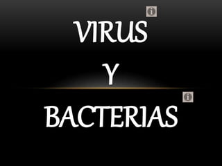 VIRUS
Y
BACTERIAS
 
