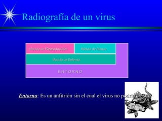 Radiografía de un virus
Módulo deMódulo de ReproducciónReproducción Módulo de AtaqueMódulo de Ataque
Módulo de DefensaMódulo de Defensa
E N T O R N OE N T O R N O
EntornoEntorno: Es un anfitrión sin el cual el virus no podría existirEs un anfitrión sin el cual el virus no podría existir
 
