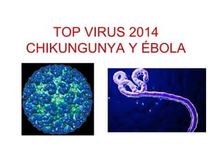 TOP VIRUS 2014 
CHIKUNGUNYA Y ÉBOLA 
 