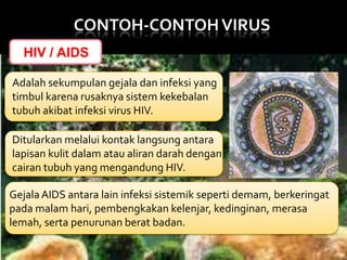 CONTOH-CONTOH VIRUS
HIV / AIDS
Adalah sekumpulan gejala dan infeksi yang
timbul karena rusaknya sistem kekebalan
tubuh akibat infeksi virus HIV.
Ditularkan melalui kontak langsung antara
lapisan kulit dalam atau aliran darah dengan
cairan tubuh yang mengandung HIV.
Gejala AIDS antara lain infeksi sistemik seperti demam, berkeringat
pada malam hari, pembengkakan kelenjar, kedinginan, merasa
lemah, serta penurunan berat badan.

 