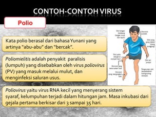 CONTOH-CONTOH VIRUS
Polio
Kata polio berasal dari bahasaYunani yang
artinya “abu-abu” dan “bercak”.
Poliomielitis adalah penyakit paralisis
(lumpuh) yang disebabkan oleh virus poliovirus
(PV) yang masuk melalui mulut, dan
menginfeksi saluran usus.
Poliovirus yaitu virus RNA kecil yang menyerang sistem
syaraf, kelumpuhan terjadi dalam hitungan jam. Masa inkubasi dari
gejala pertama berkisar dari 3 sampai 35 hari.

 