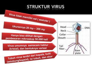 STRUKTUR VIRUS

 