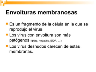 Envolturas membranosas
Es un fragmento de la célula en la que se
reprodujo el virus
 Los virus con envoltura son más
patógenos (gripe, hepatitis, SIDA, …)
 Los virus desnudos carecen de estas
membranas.


 