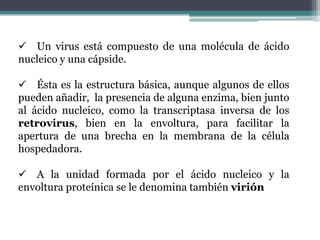 Algunos virus necesitan de enzimas poco usuales por lo que las cargan dentro de su envoltorio como parte de su equipaje. TamañoOscila entre los 24 nm y 300 nm. 