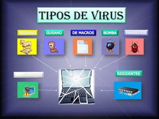 DE 
TIPOS DE VIRUS  