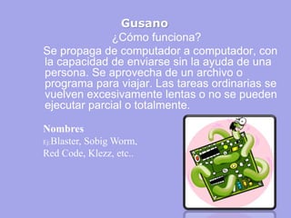 Gusano 
¿Cómo funciona? 
Se propaga de computador a computador, con la capacidad de enviarse sin la ayuda de una persona. Se aprovecha de un archivo o programa para viajar. Las tareas ordinarias se vuelven excesivamente lentas o no se pueden ejecutar parcial o totalmente. 
Nombres Ej:Blaster, Sobig Worm, Red Code, Klezz, etc..  