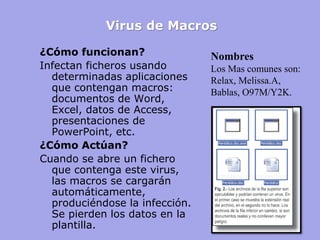 Virus de Macros 
¿Cómo funcionan? 
Infectan ficheros usando determinadas aplicaciones que contengan macros: documentos de Word, Excel, datos de Access, presentaciones de PowerPoint, etc. 
¿Cómo Actúan? 
Cuando se abre un fichero que contenga este virus, las macros se cargarán automáticamente, produciéndose la infección. Se pierden los datos en la plantilla. 
Nombres Los Mas comunes son: Relax, Melissa.A, Bablas, O97M/Y2K.  