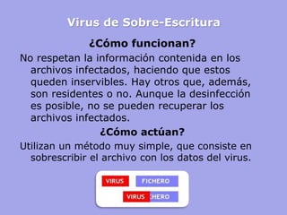 Virus de Sobre-Escritura 
¿Cómo funcionan? 
No respetan la información contenida en los archivos infectados, haciendo que estos queden inservibles. Hay otros que, además, son residentes o no. Aunque la desinfección es posible, no se pueden recuperar los archivos infectados. 
¿Cómo actúan? 
Utilizan un método muy simple, que consiste en sobrescribir el archivo con los datos del virus. 
 