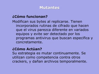 Mutantes 
¿Cómo funcionan? 
Modifican sus bytes al replicarse. Tienen incorporados rutinas de cifrado que hacen que el virus parezca diferente en variados equipos y evite ser detectado por los programas antivirus que buscan especifica y concretamente. 
¿Cómo Actúan? 
Su estrategia es mutar continuamente. Se utilizan como competencia contra otros crackers, y dañan archivos temporalmente.  