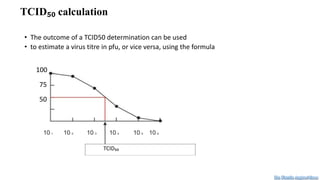 Tcid50 Table Virus culture and cytopathic effect | PPTX