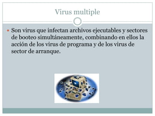 Virus multiple

 Son virus que infectan archivos ejecutables y sectores
 de booteo simultáneamente, combinando en ellos la
 acción de los virus de programa y de los virus de
 sector de arranque.
 