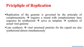 Pricipliple of Replication
Replication of the genome is governed by the principle of
complementarity  requires a strand with complementary base
sequence be synthesized  serve as template  synthesis of
actual viral genome
Late synthesis  viral structural proteins for the capsid are also
synthesized almost simultaneously
Dr. Farzin Asghari Sana
 
