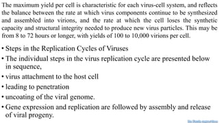 The maximum yield per cell is characteristic for each virus-cell system, and reflects
the balance between the rate at which virus components continue to be synthesized
and assembled into virions, and the rate at which the cell loses the synthetic
capacity and structural integrity needed to produce new virus particles. This may be
from 8 to 72 hours or longer, with yields of 100 to 10,000 virions per cell.
• Steps in the Replication Cycles of Viruses
• The individual steps in the virus replication cycle are presented below
in sequence,
• virus attachment to the host cell
• leading to penetration
• uncoating of the viral genome.
• Gene expression and replication are followed by assembly and release
of viral progeny.
Dr. Farzin Asghari Sana
 